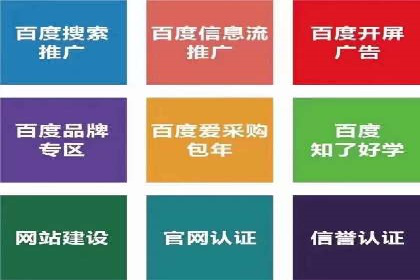行业领先企业的SEM开户成功案例